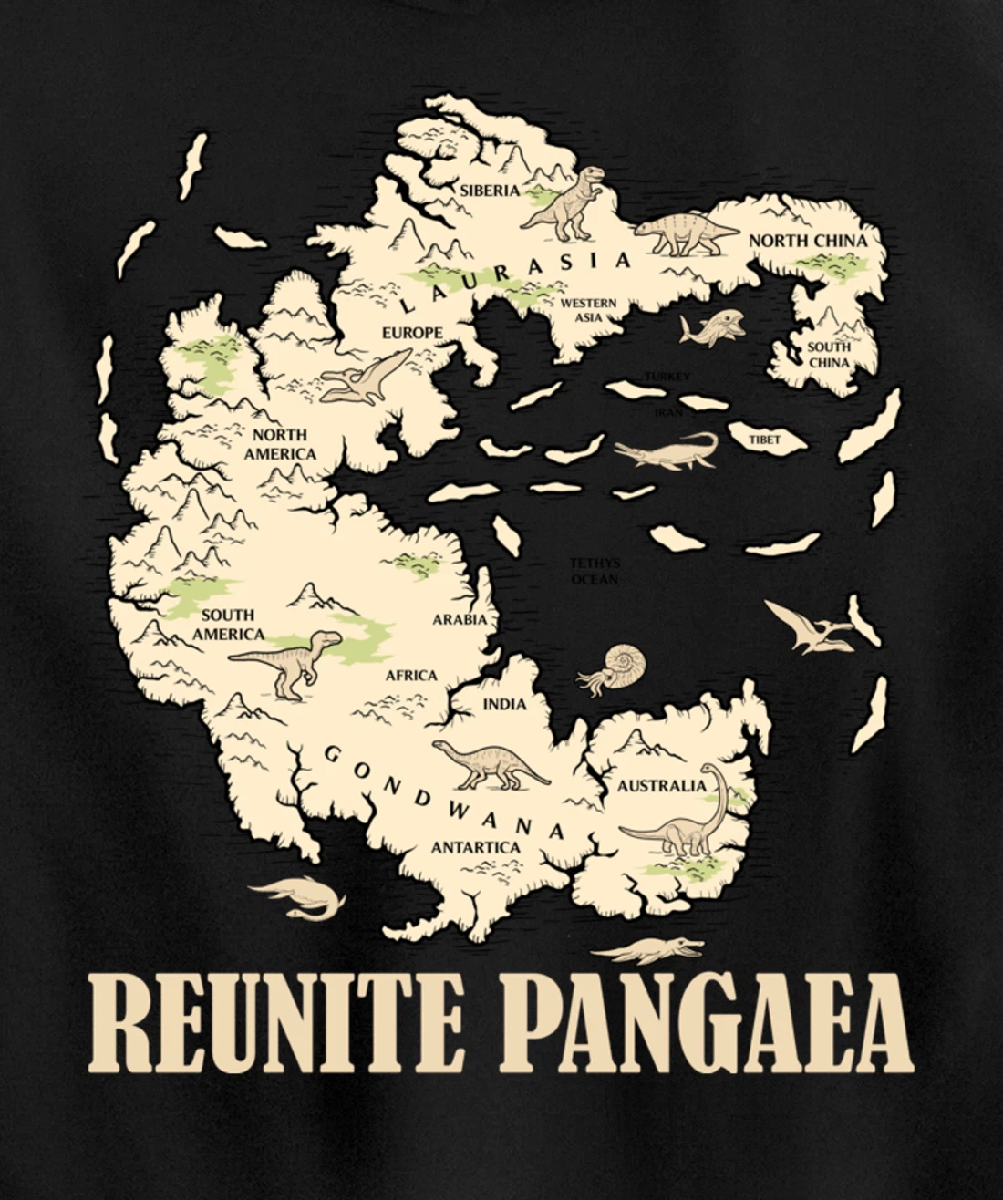Reunite Pangaea World map History Funny Geology Gift Earth Pullover Hoodie