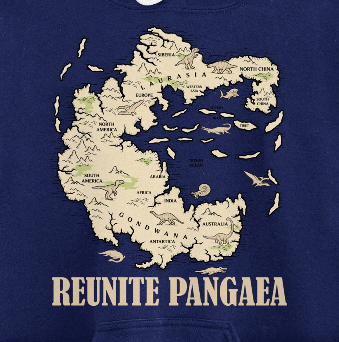Reunite Pangaea World map History Funny Geology Gift Earth Pullover Hoodie