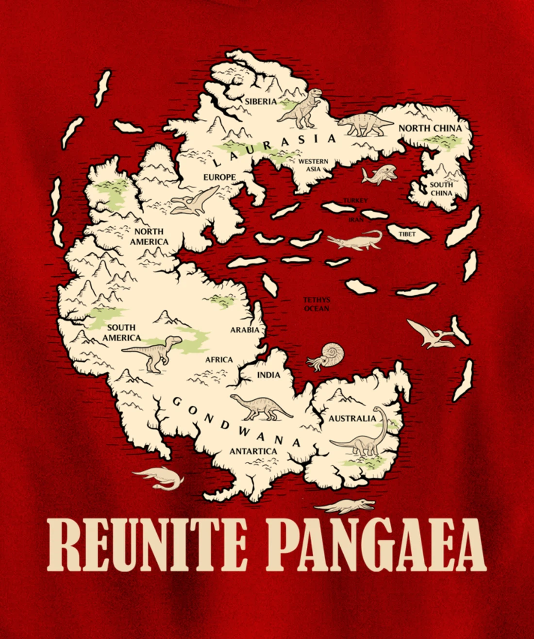 Reunite Pangaea World map History Funny Geology Gift Earth Pullover Hoodie