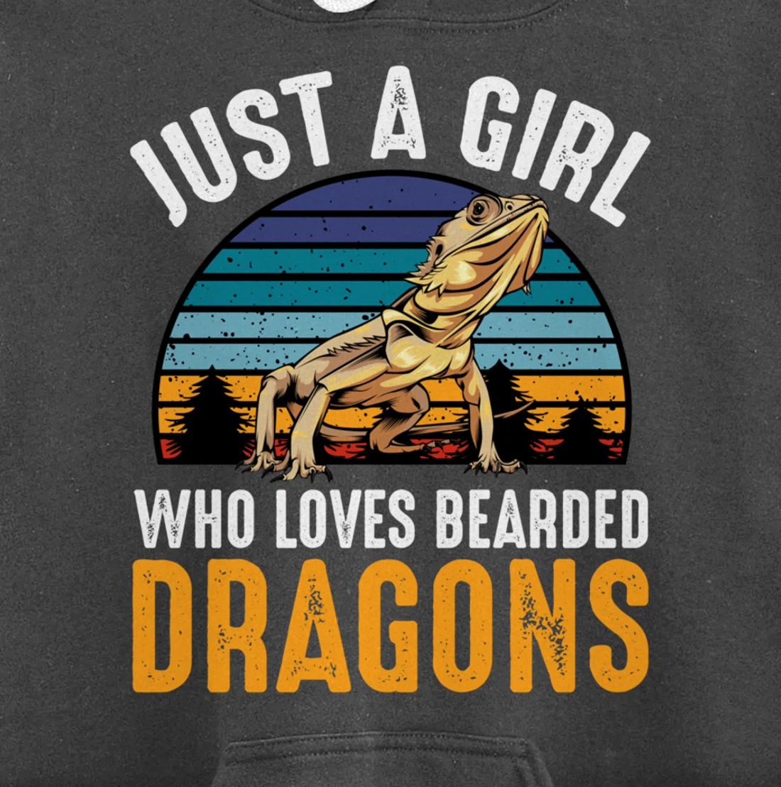 Just a Girl Who Loves Bearded Dragons Lizard Gecko Cute Pullover Hoodie