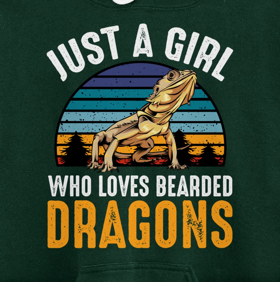 Just a Girl Who Loves Bearded Dragons Lizard Gecko Cute Pullover Hoodie