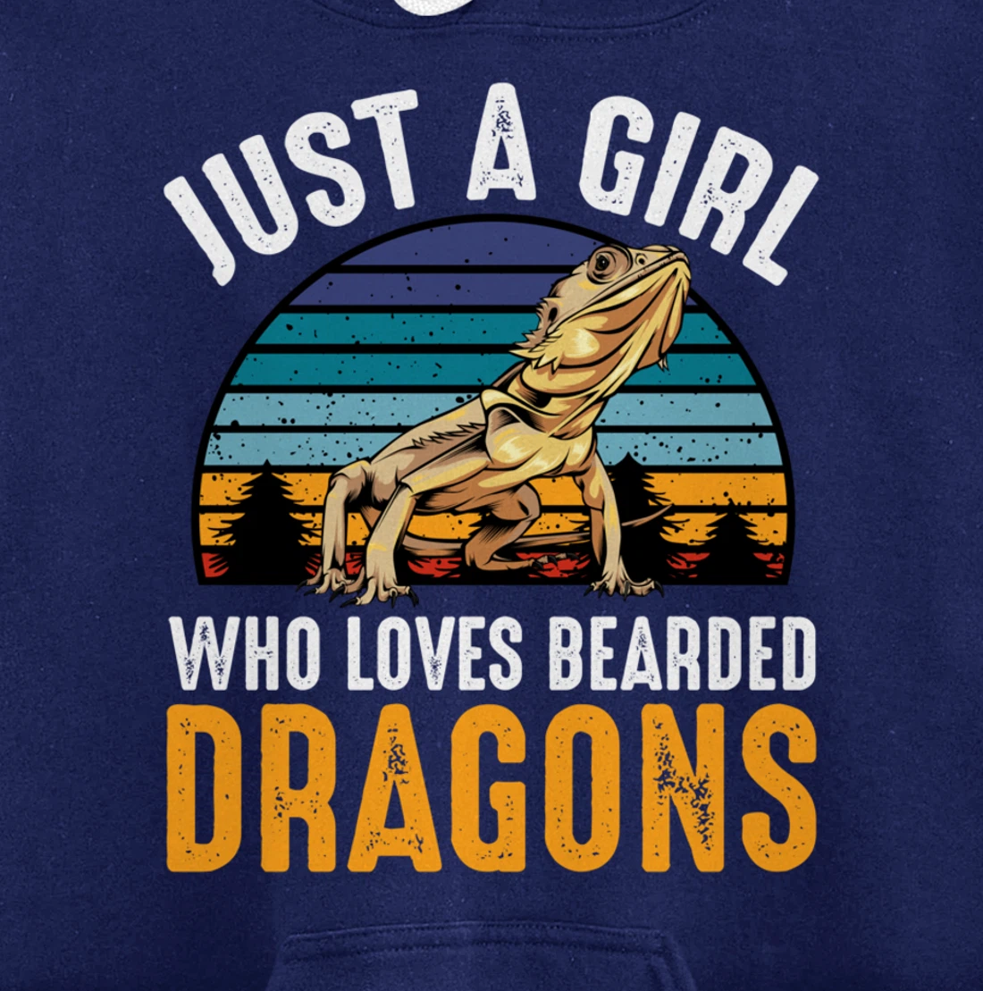 Just a Girl Who Loves Bearded Dragons Lizard Gecko Cute Pullover Hoodie
