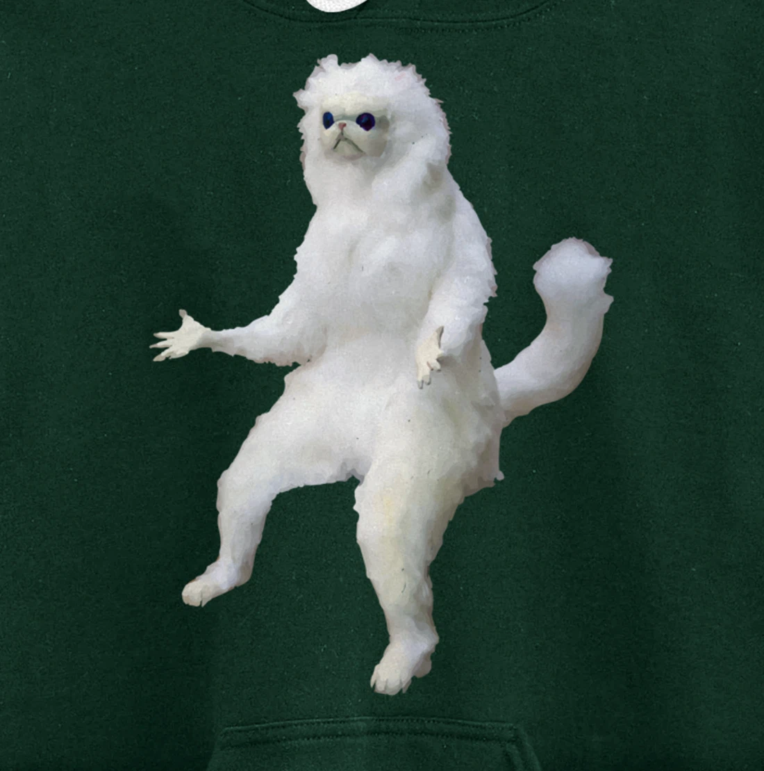 Persian Cat Room Guardian Bad Taxidermy Funny Pullover Hoodie