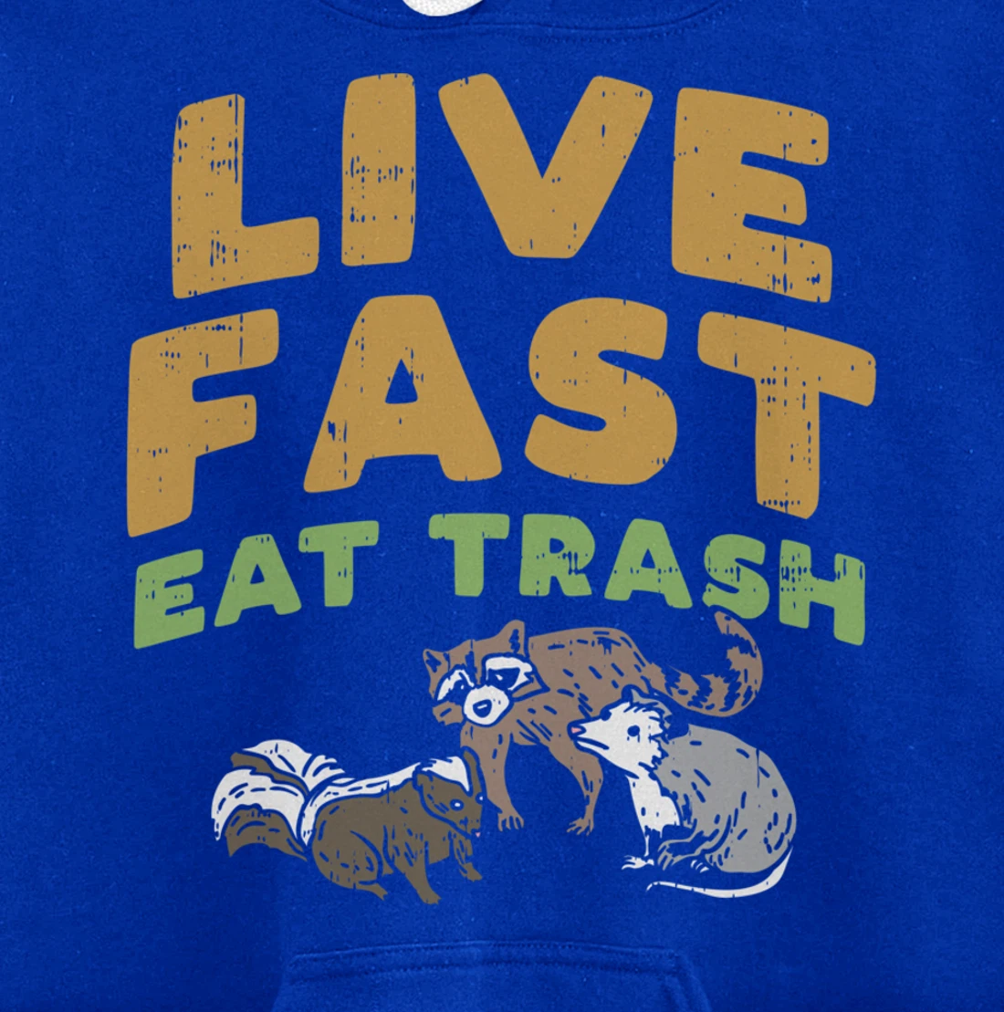 Fast Live Eat Trash Raccoon Opossum Skunk Street Cats Gift Pullover Hoodie