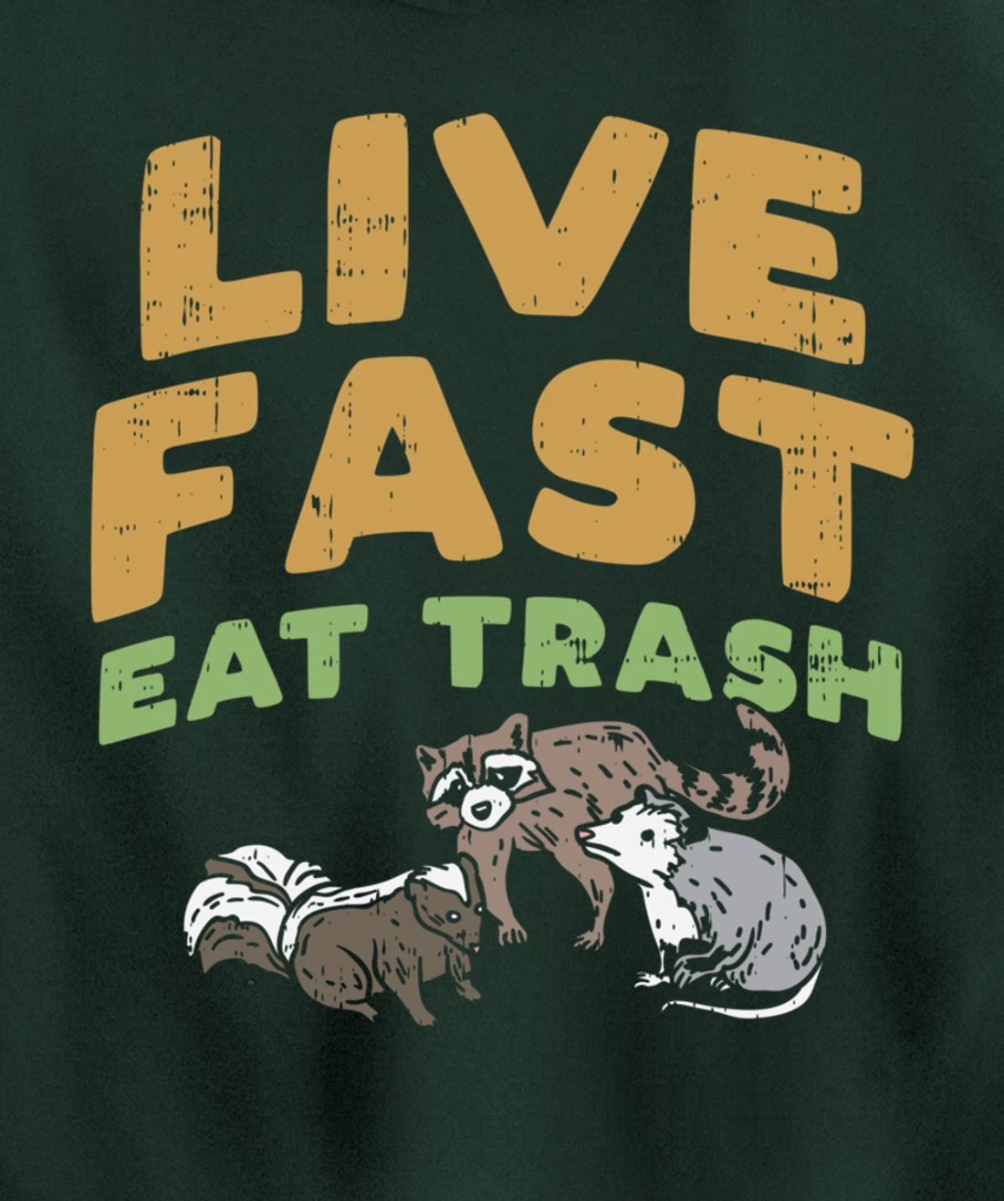 Fast Live Eat Trash Raccoon Opossum Skunk Street Cats Gift Pullover Hoodie