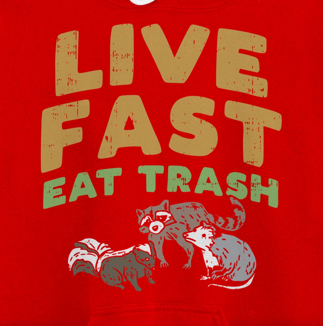 Fast Live Eat Trash Raccoon Opossum Skunk Street Cats Gift Pullover Hoodie