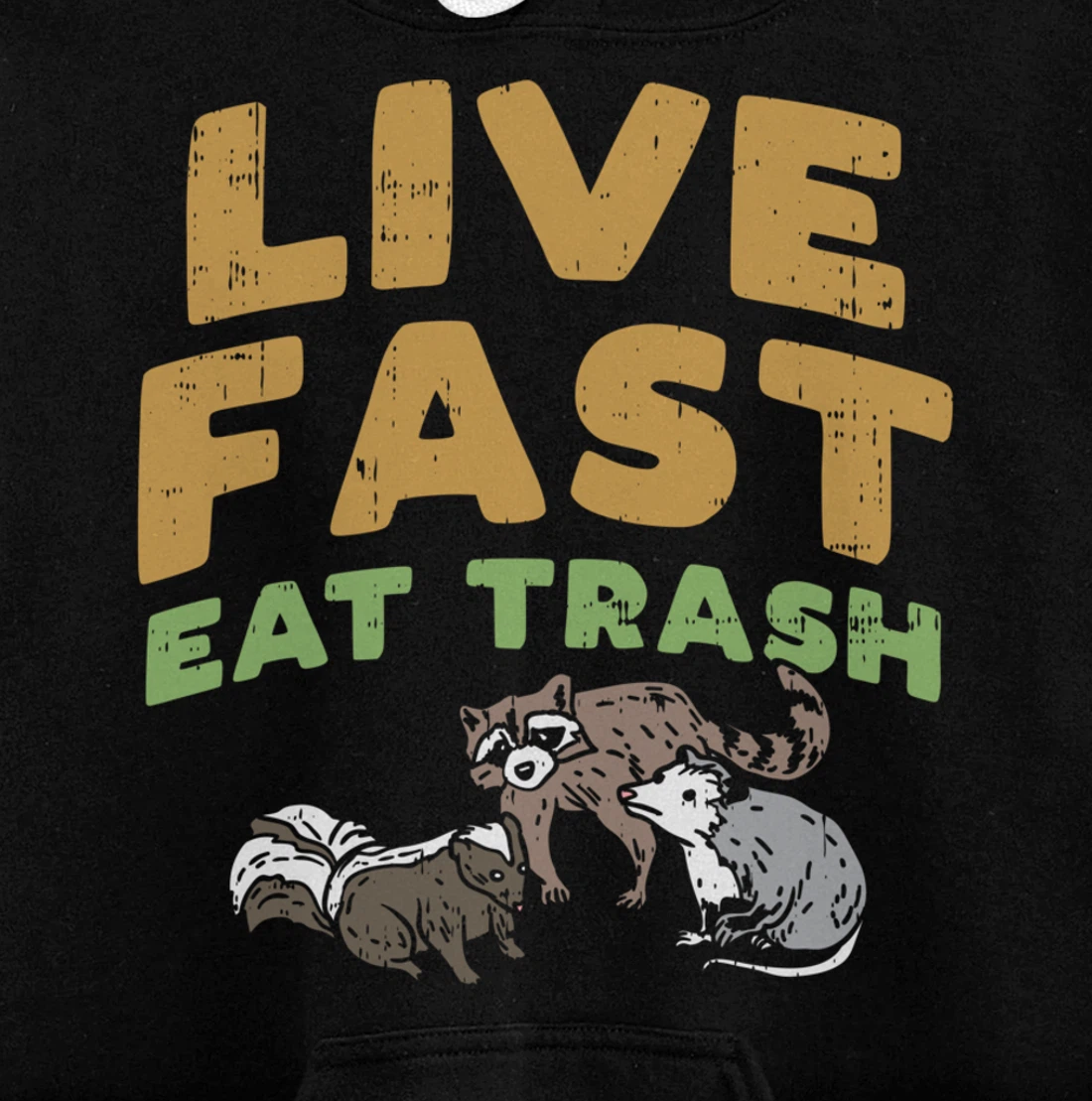 Fast Live Eat Trash Raccoon Opossum Skunk Street Cats Gift Pullover Hoodie