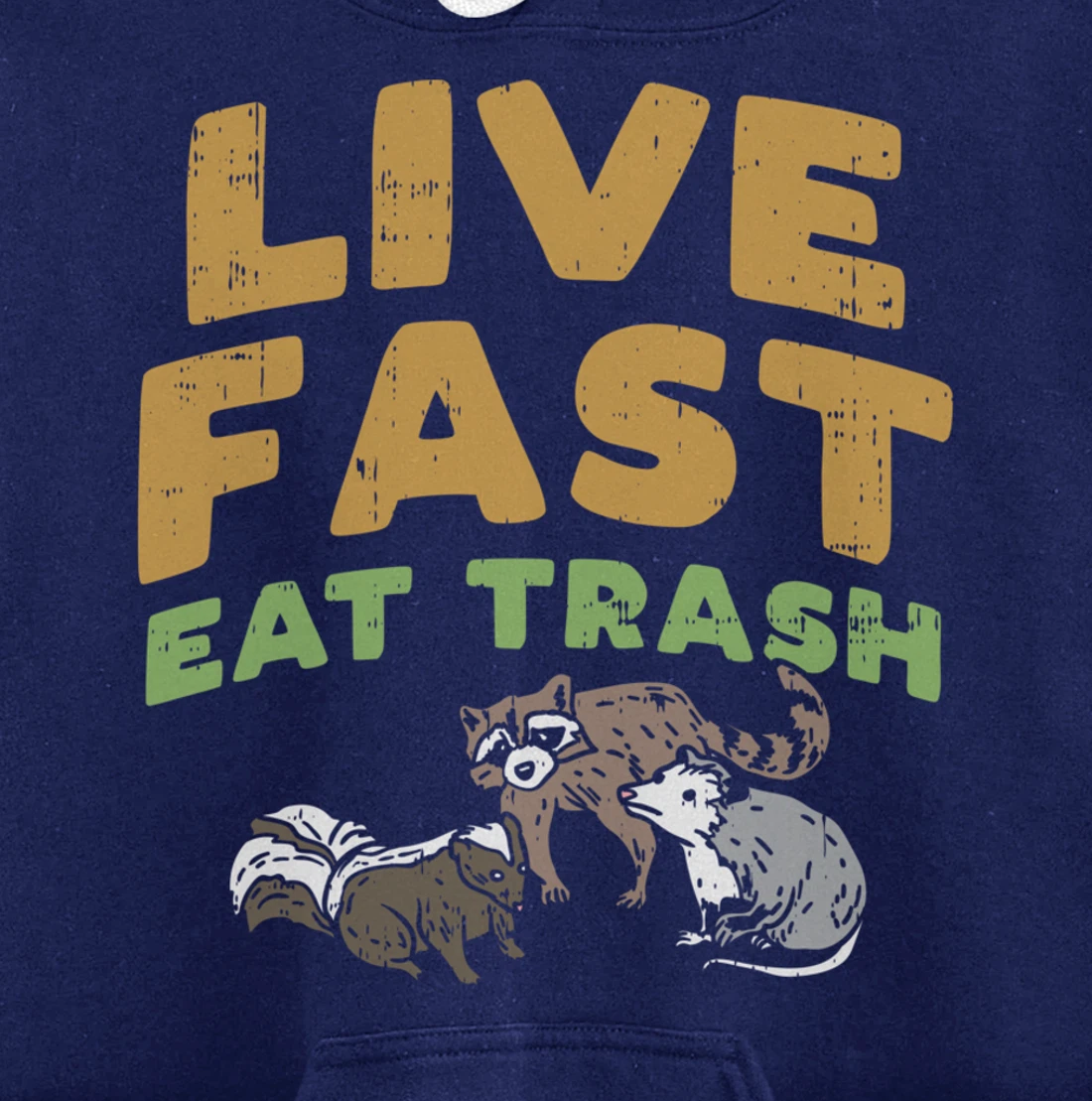 Fast Live Eat Trash Raccoon Opossum Skunk Street Cats Gift Pullover Hoodie