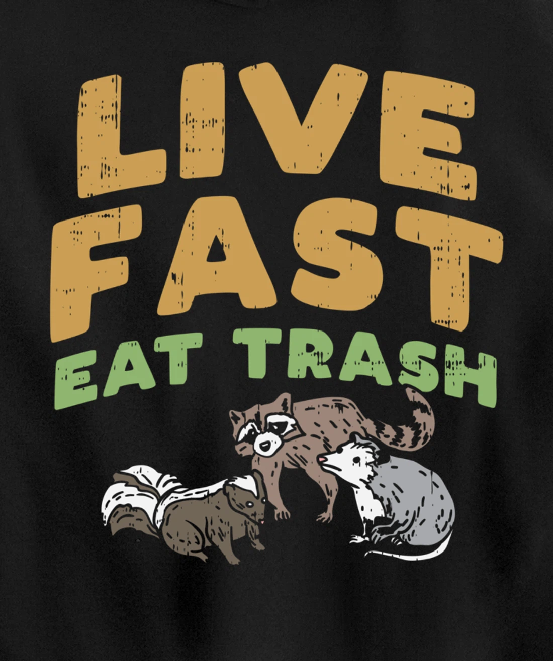 Fast Live Eat Trash Raccoon Opossum Skunk Street Cats Gift Pullover Hoodie