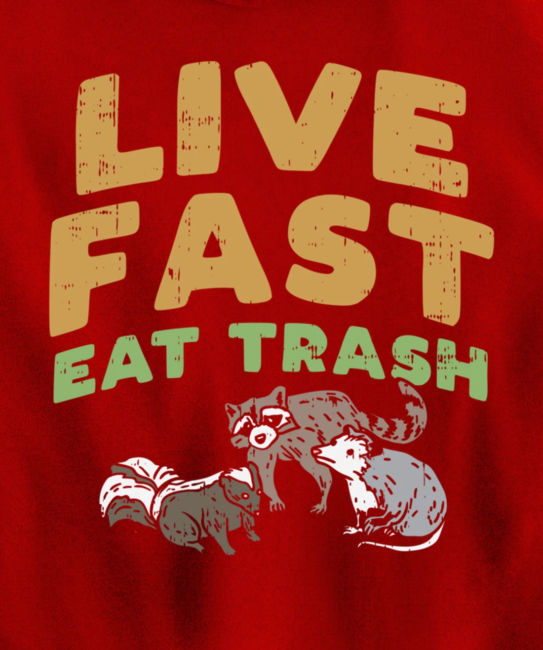 Fast Live Eat Trash Raccoon Opossum Skunk Street Cats Gift Pullover Hoodie