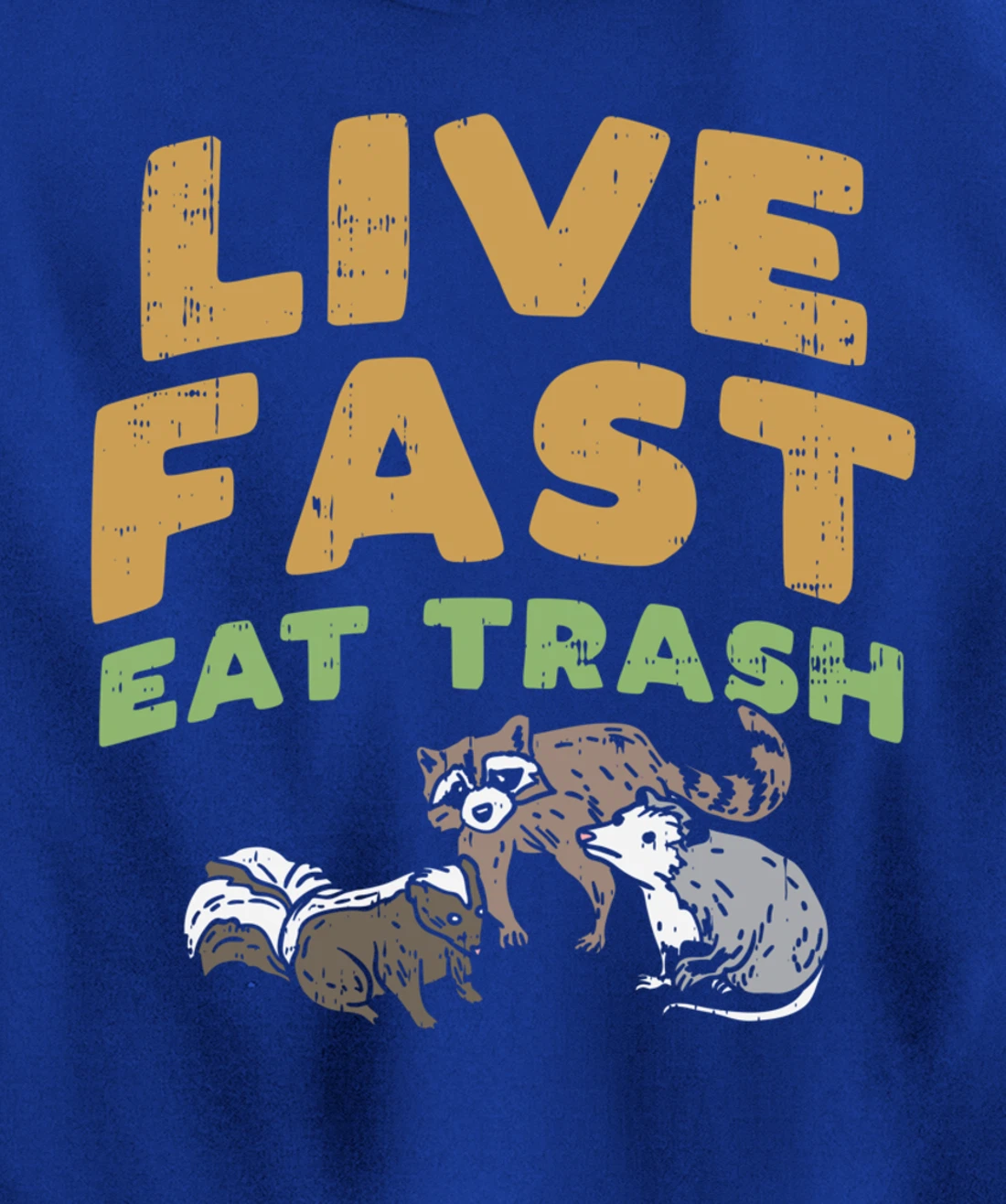 Fast Live Eat Trash Raccoon Opossum Skunk Street Cats Gift Pullover Hoodie