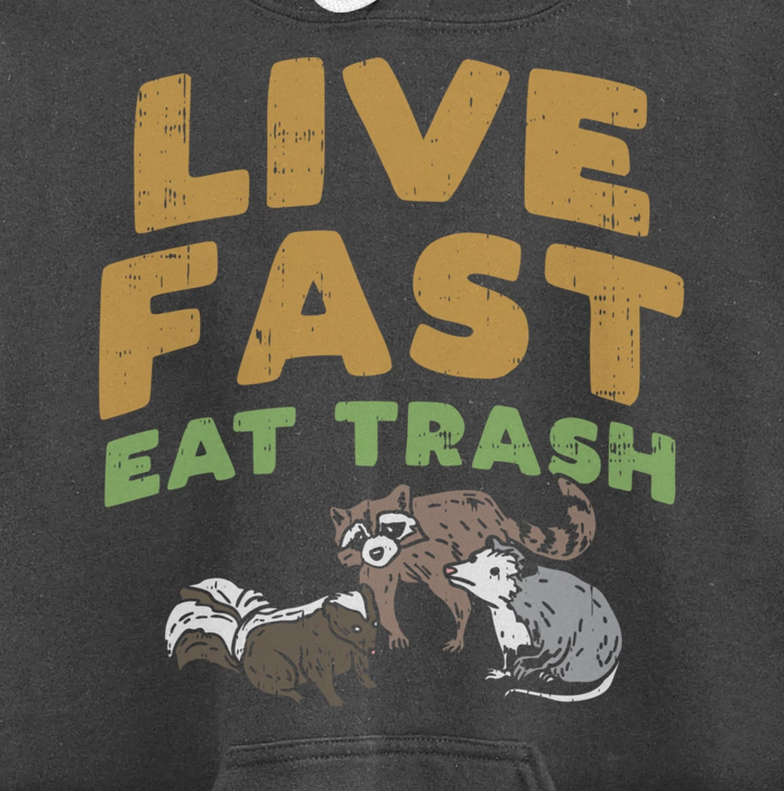 Fast Live Eat Trash Raccoon Opossum Skunk Street Cats Gift Pullover Hoodie