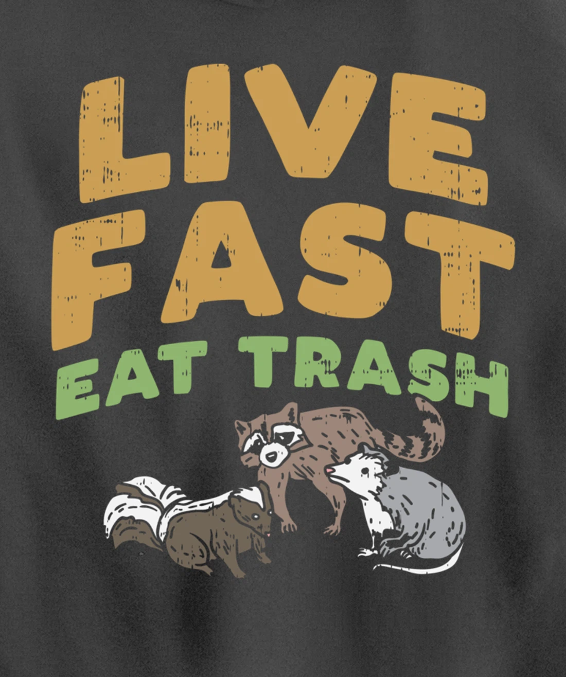 Fast Live Eat Trash Raccoon Opossum Skunk Street Cats Gift Pullover Hoodie