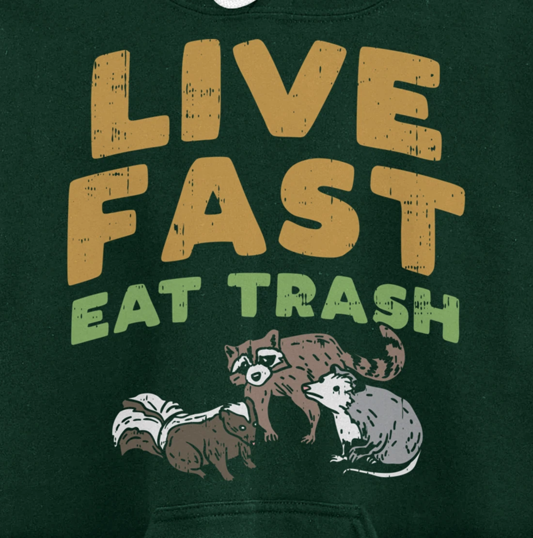 Fast Live Eat Trash Raccoon Opossum Skunk Street Cats Gift Pullover Hoodie