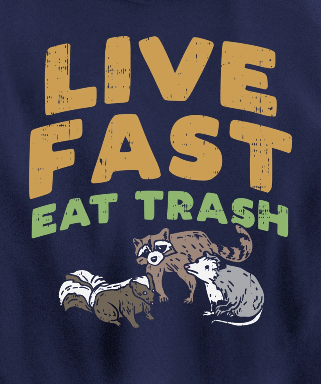 Fast Live Eat Trash Raccoon Opossum Skunk Street Cats Gift Pullover Hoodie