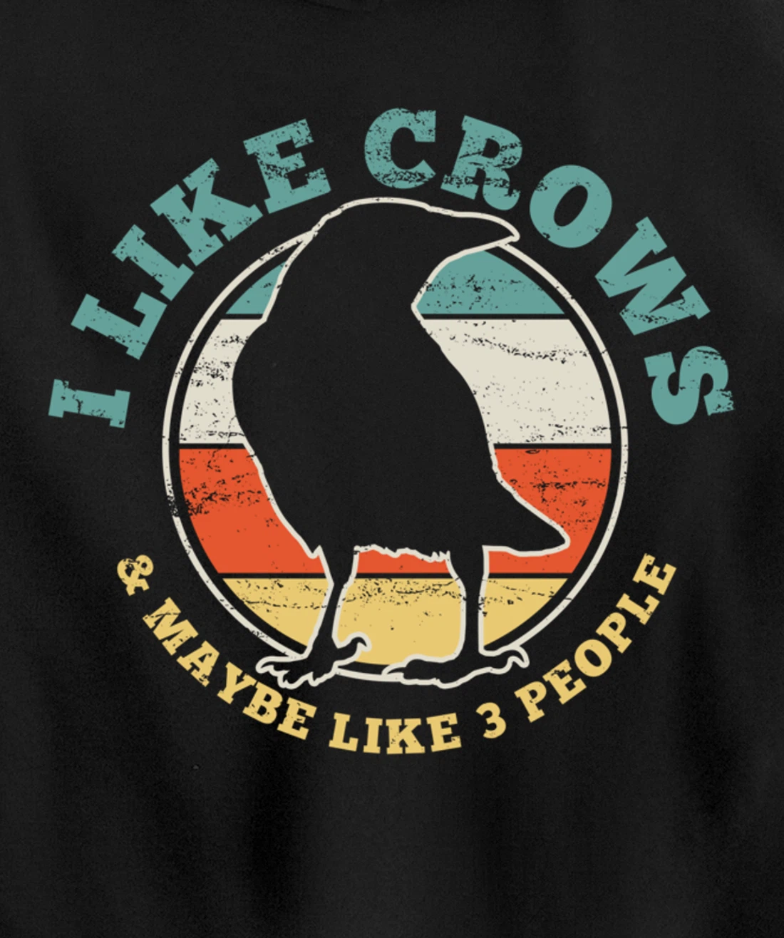 Crow Raven Funny Vintage Gift Pullover Hoodie