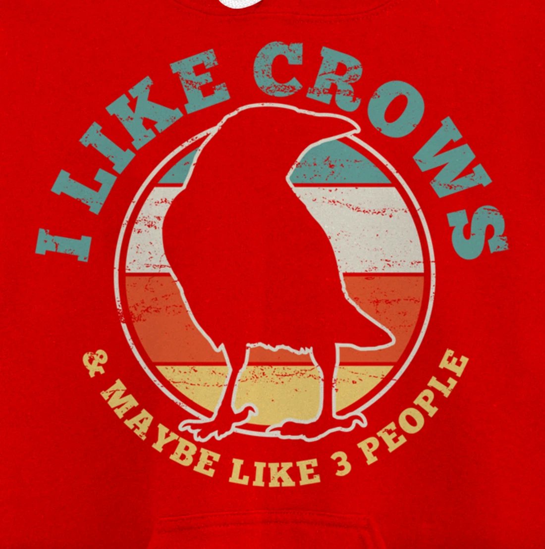 Crow Raven Funny Vintage Gift Pullover Hoodie