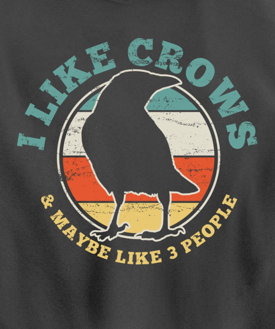Crow Raven Funny Vintage Gift Pullover Hoodie