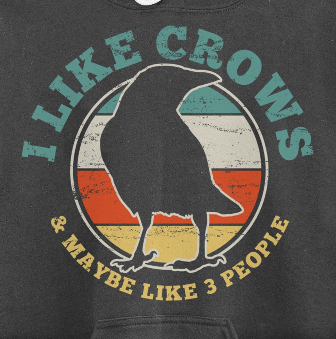 Crow Raven Funny Vintage Gift Pullover Hoodie