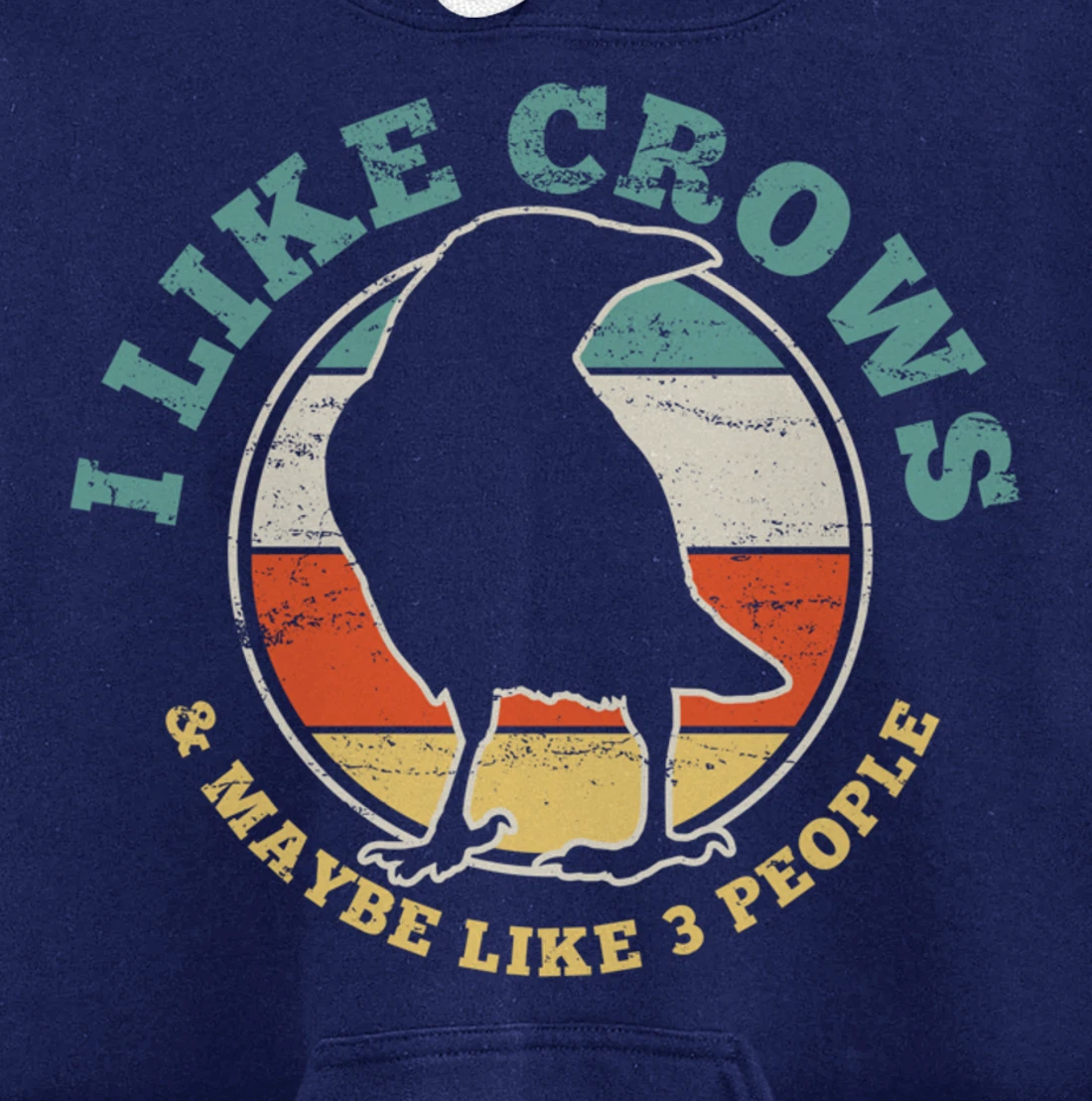 Crow Raven Funny Vintage Gift Pullover Hoodie