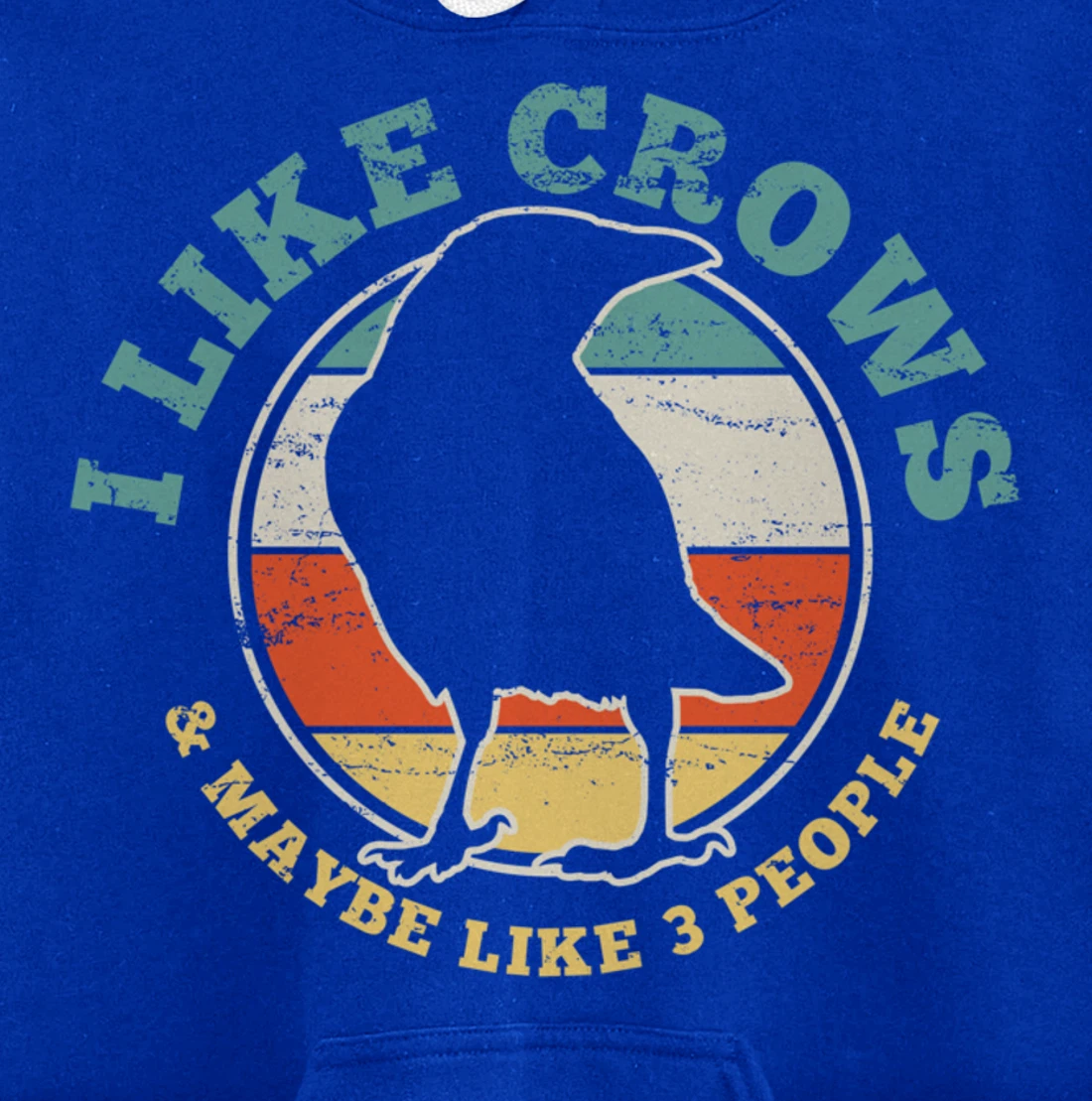 Crow Raven Funny Vintage Gift Pullover Hoodie