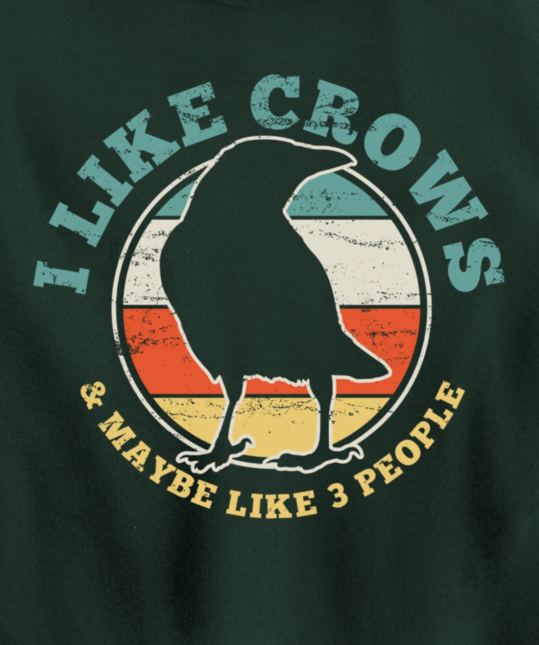Crow Raven Funny Vintage Gift Pullover Hoodie