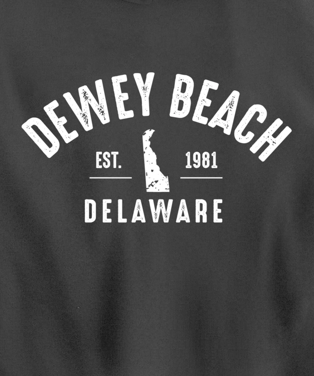 Dewey Beach Pullover Hoodie
