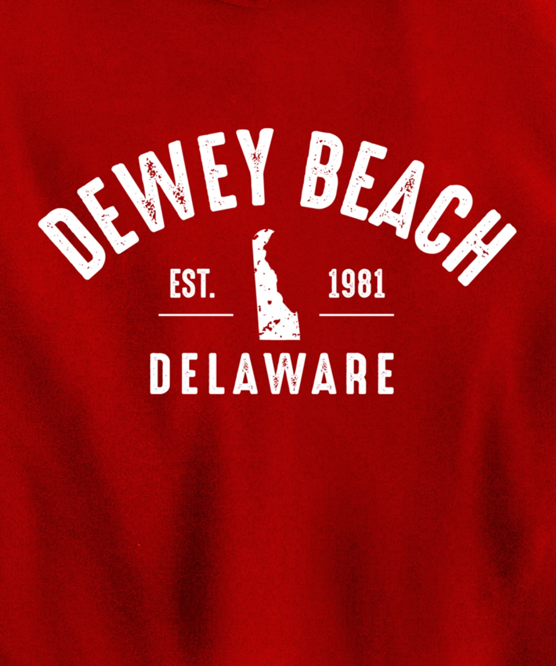 Dewey Beach Pullover Hoodie