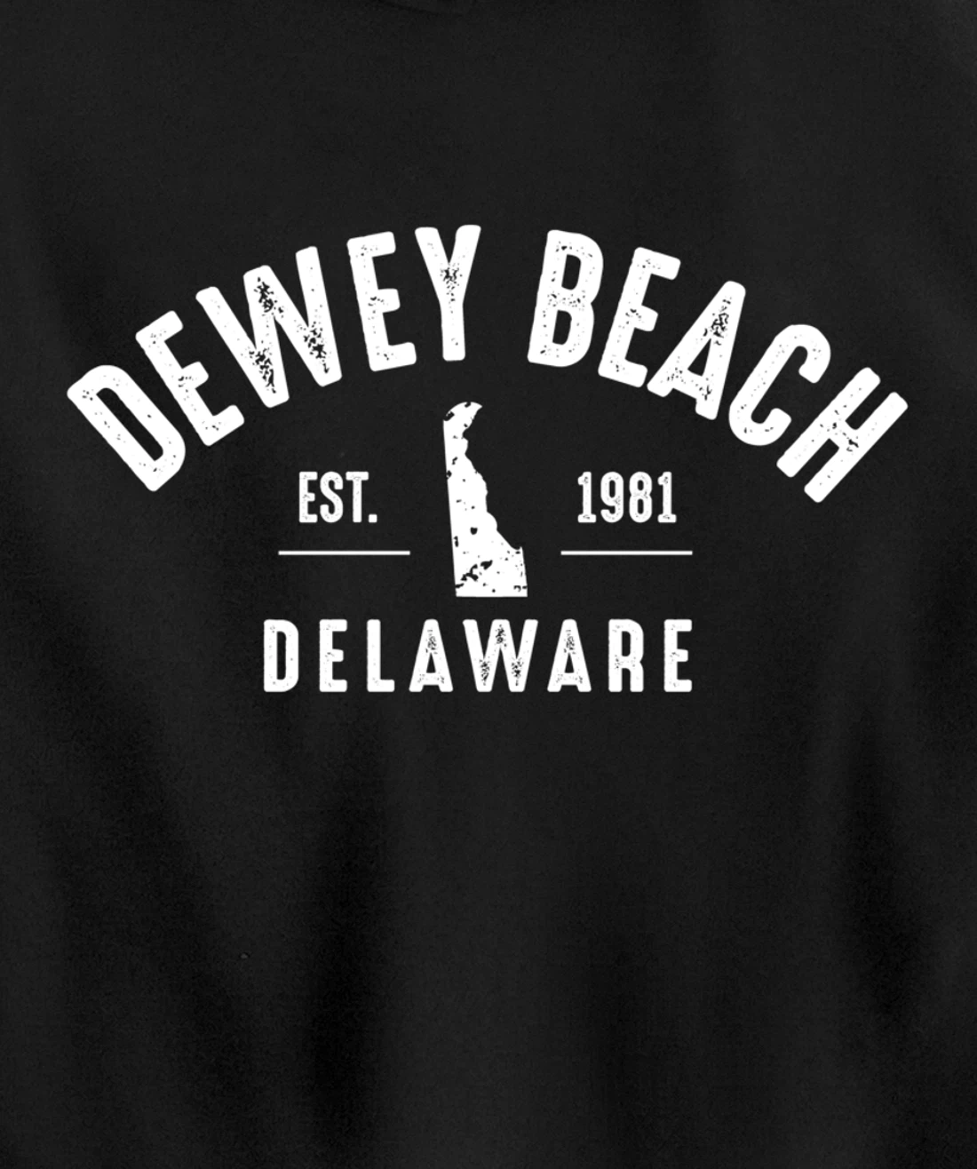 Dewey Beach Pullover Hoodie