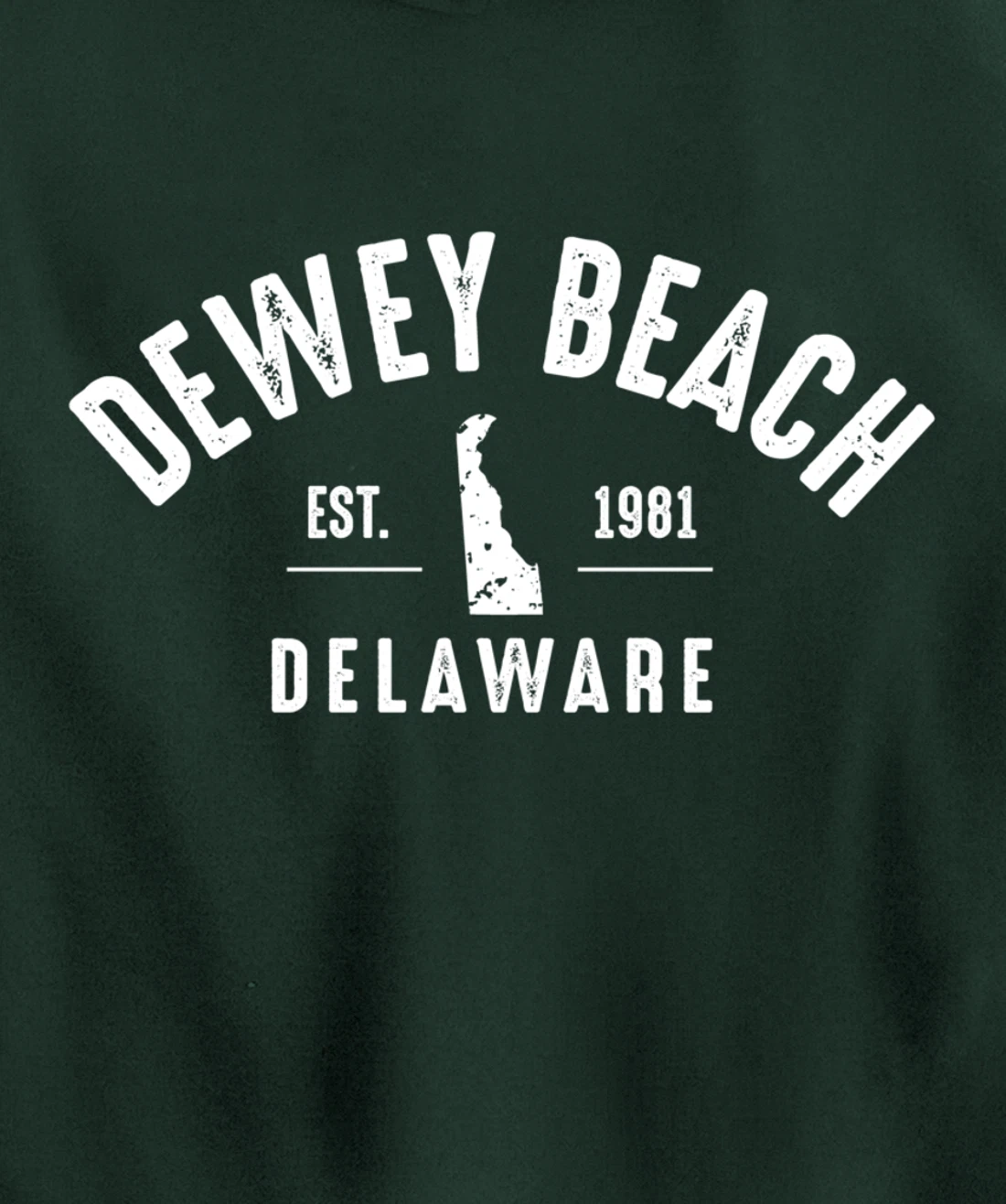 Dewey Beach Pullover Hoodie