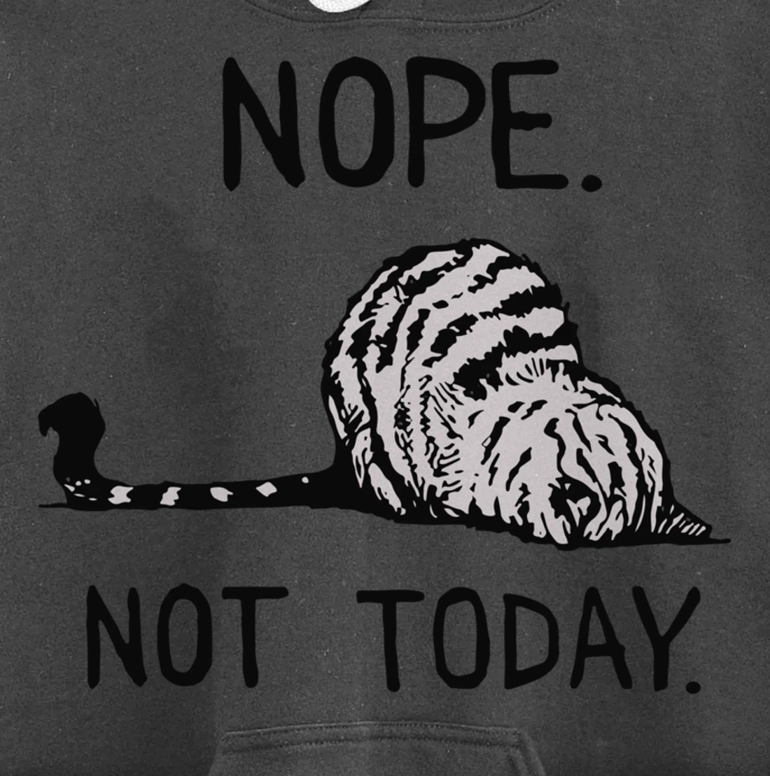 Lazy Cat Nope Not Today Funny Lazy Cat Tee For Cat Lovers Pullover Hoodie