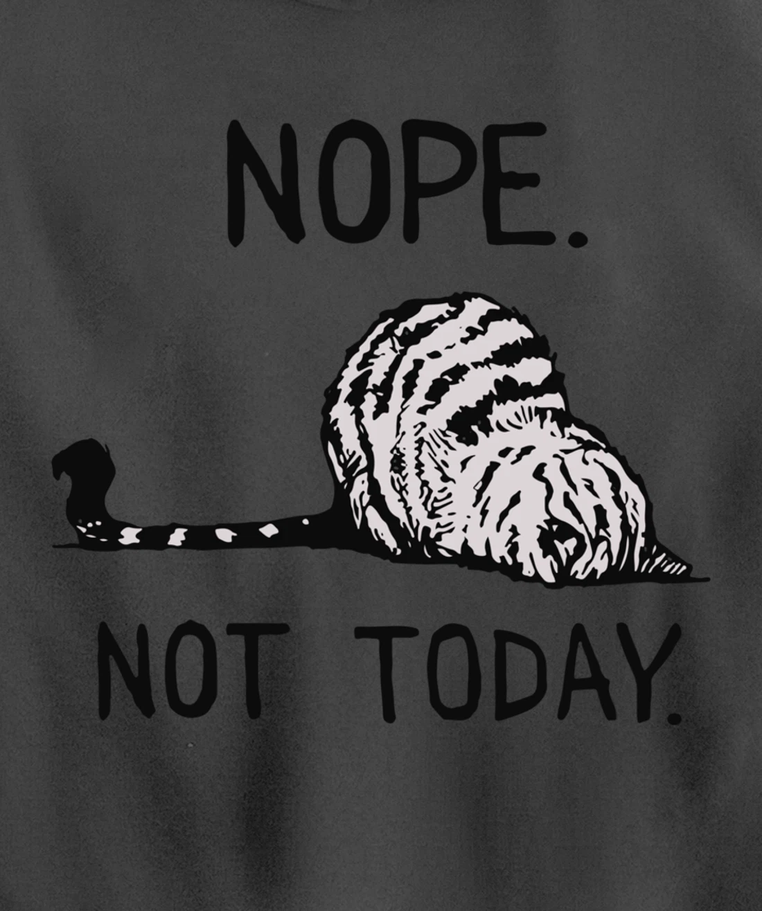 Lazy Cat Nope Not Today Funny Lazy Cat Tee For Cat Lovers Pullover Hoodie