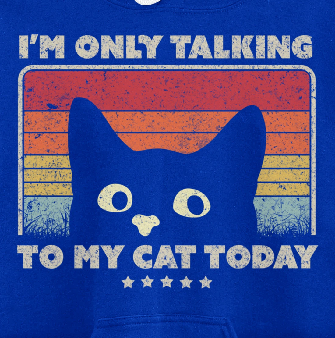 Funny Cat Design. I'm Only Talking To My Cat Today, Retro Pullover Hoodie
