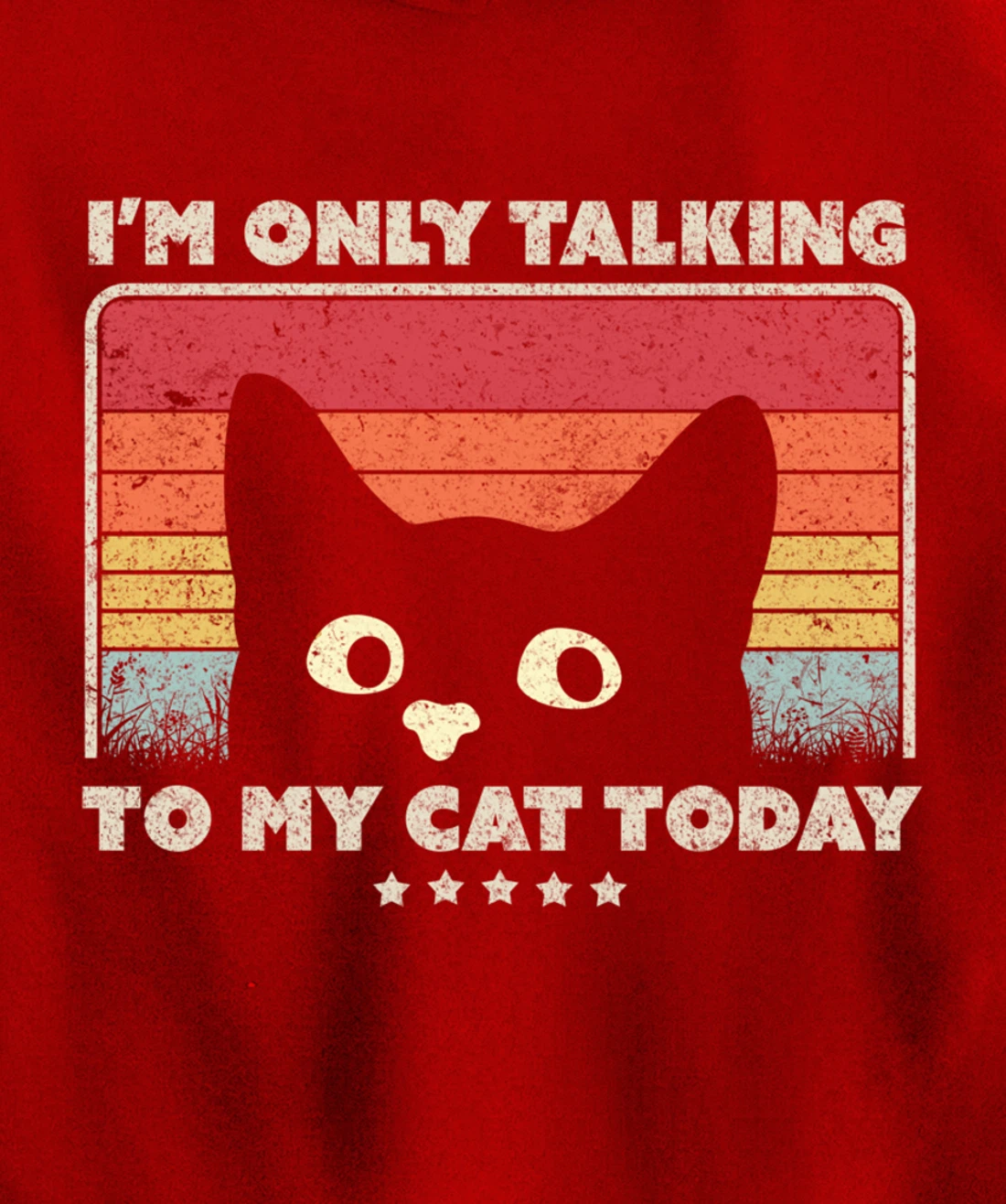 Funny Cat Design. I'm Only Talking To My Cat Today, Retro Pullover Hoodie