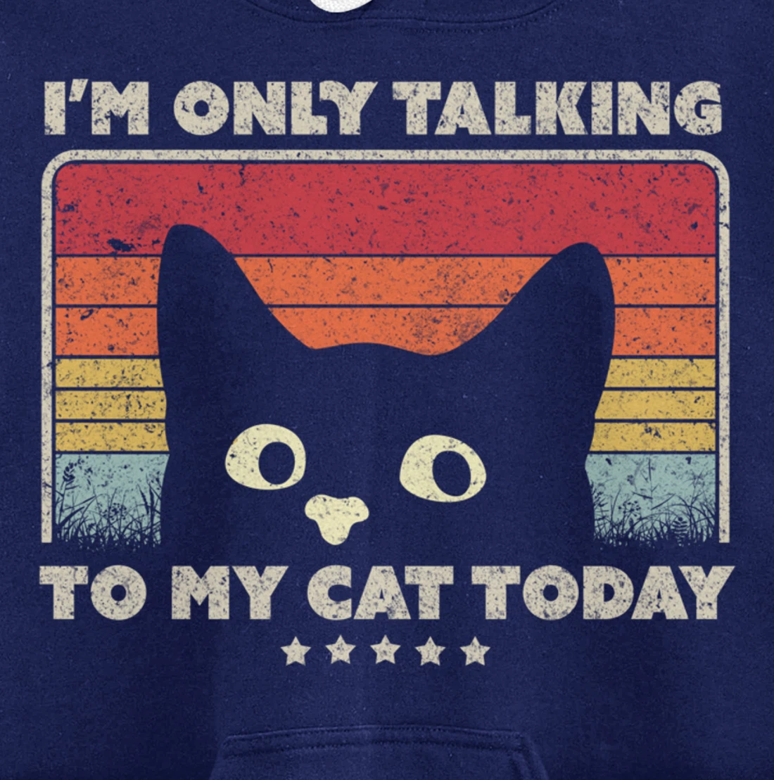 Funny Cat Design. I'm Only Talking To My Cat Today, Retro Pullover Hoodie