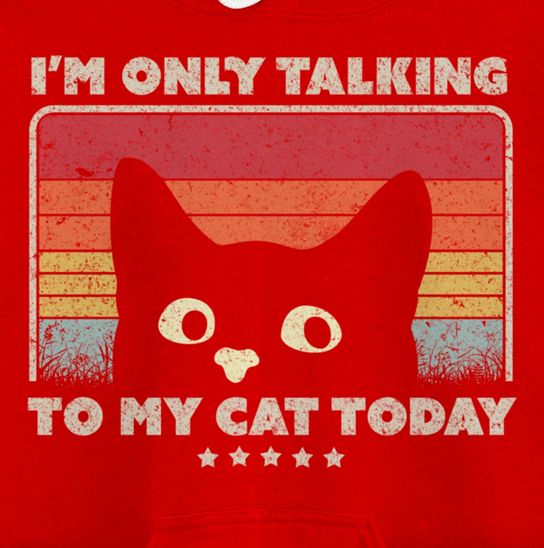 Funny Cat Design. I'm Only Talking To My Cat Today, Retro Pullover Hoodie