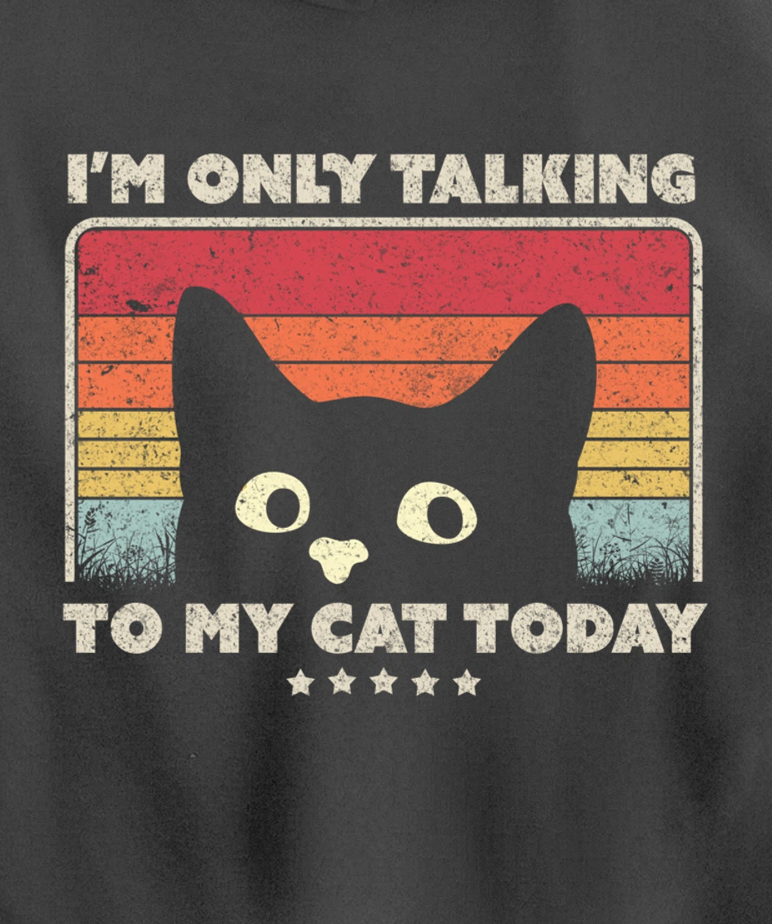 Funny Cat Design. I'm Only Talking To My Cat Today, Retro Pullover Hoodie