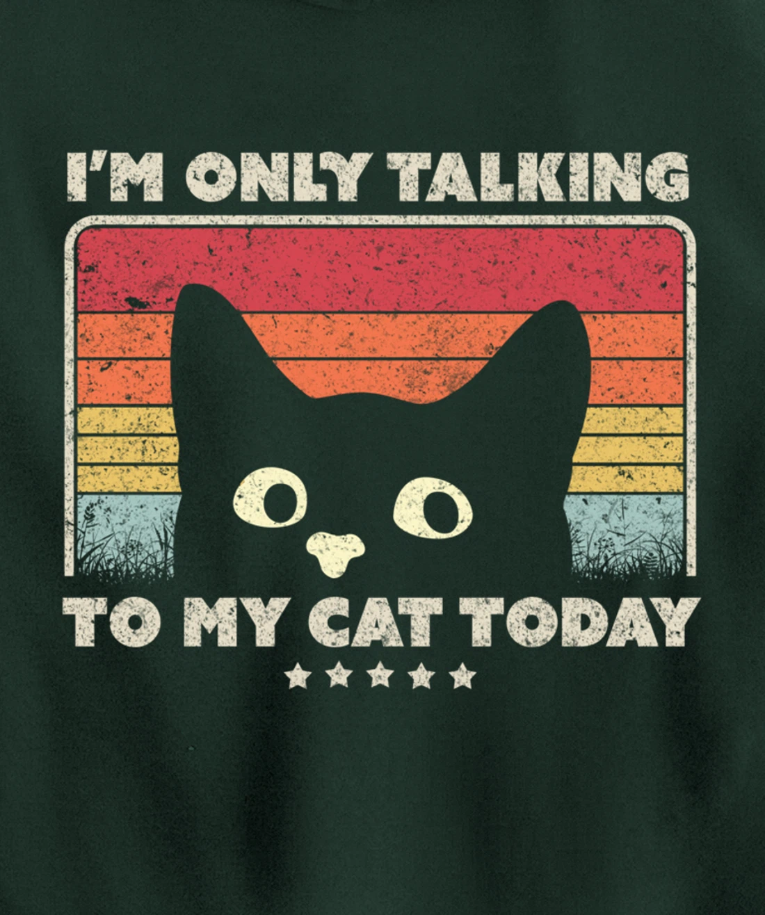 Funny Cat Design. I'm Only Talking To My Cat Today, Retro Pullover Hoodie