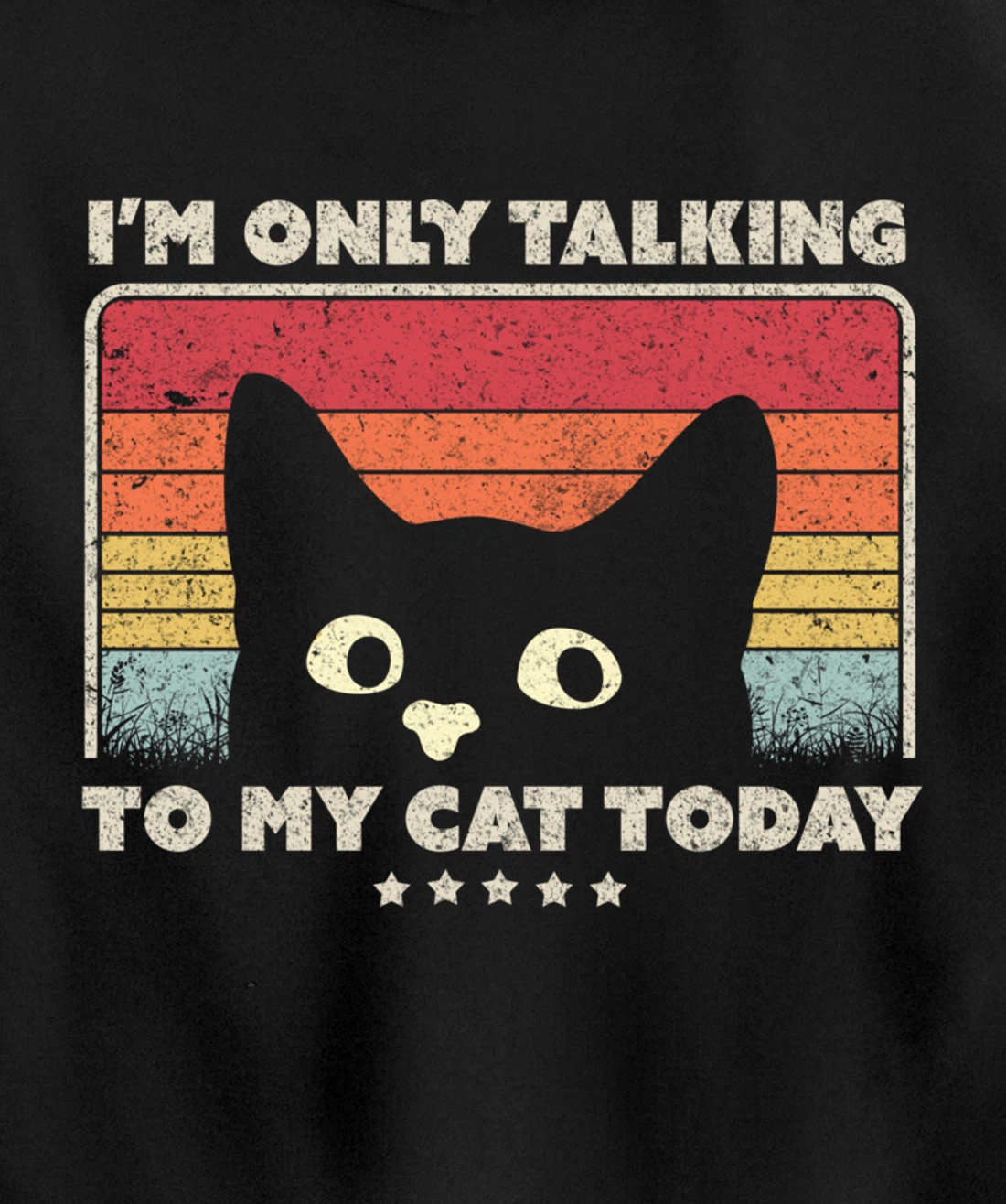 Funny Cat Design. I'm Only Talking To My Cat Today, Retro Pullover Hoodie