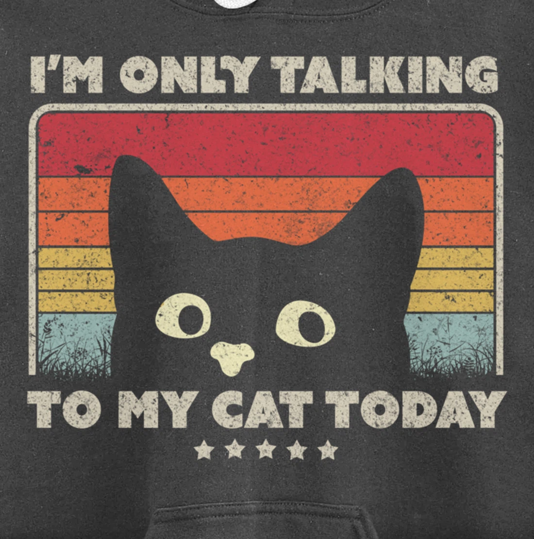 Funny Cat Design. I'm Only Talking To My Cat Today, Retro Pullover Hoodie