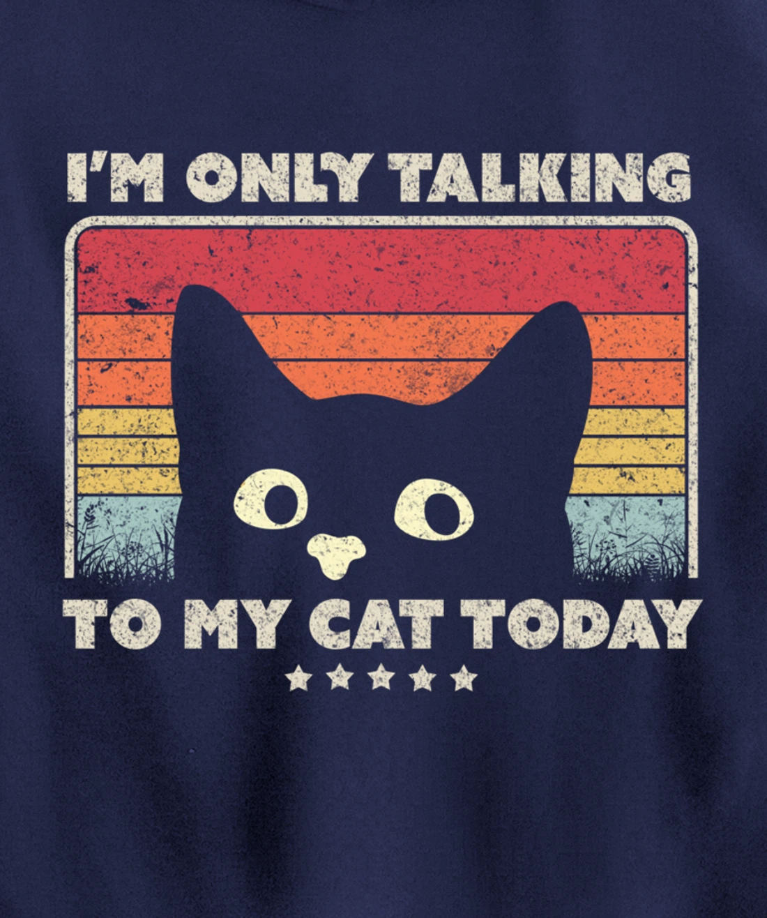 Funny Cat Design. I'm Only Talking To My Cat Today, Retro Pullover Hoodie