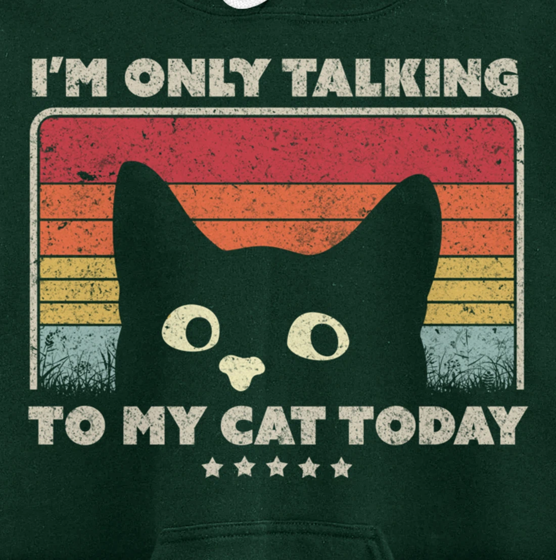 Funny Cat Design. I'm Only Talking To My Cat Today, Retro Pullover Hoodie