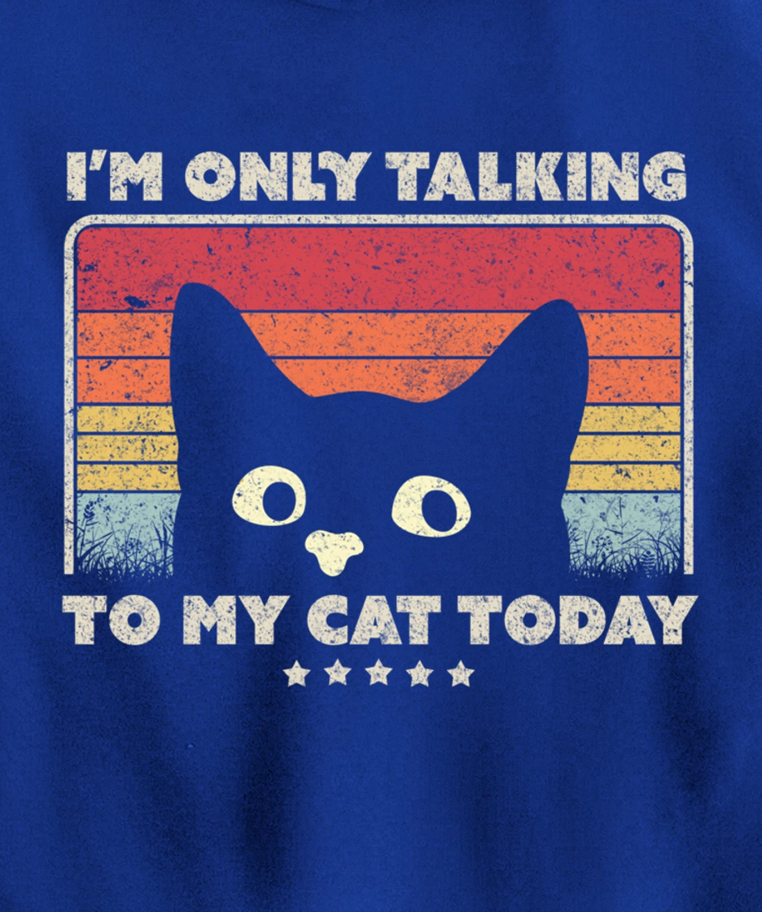 Funny Cat Design. I'm Only Talking To My Cat Today, Retro Pullover Hoodie