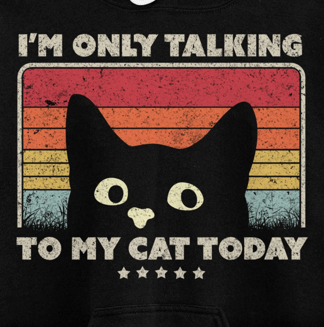 Funny Cat Design. I'm Only Talking To My Cat Today, Retro Pullover Hoodie