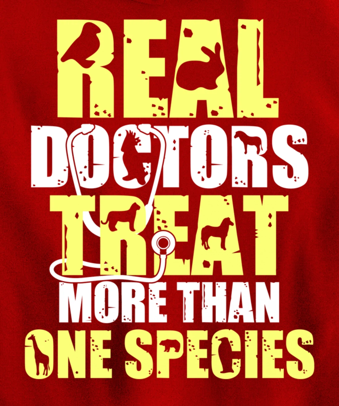 Funny Veterinary Student Gift Men Women Future Veterinarian Pullover Hoodie