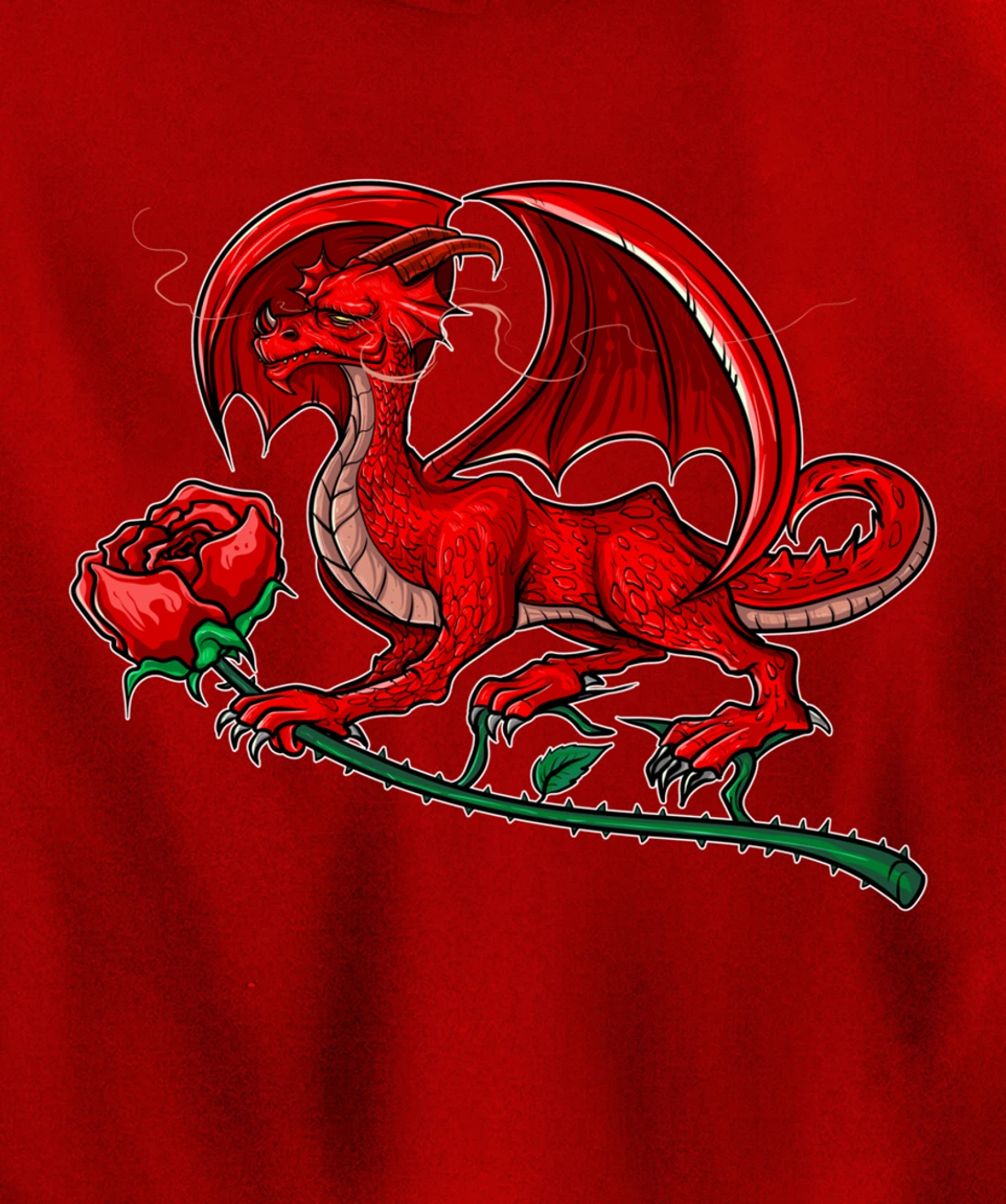 Dragon Fantasy Mythical Dragon Lover Pullover Hoodie