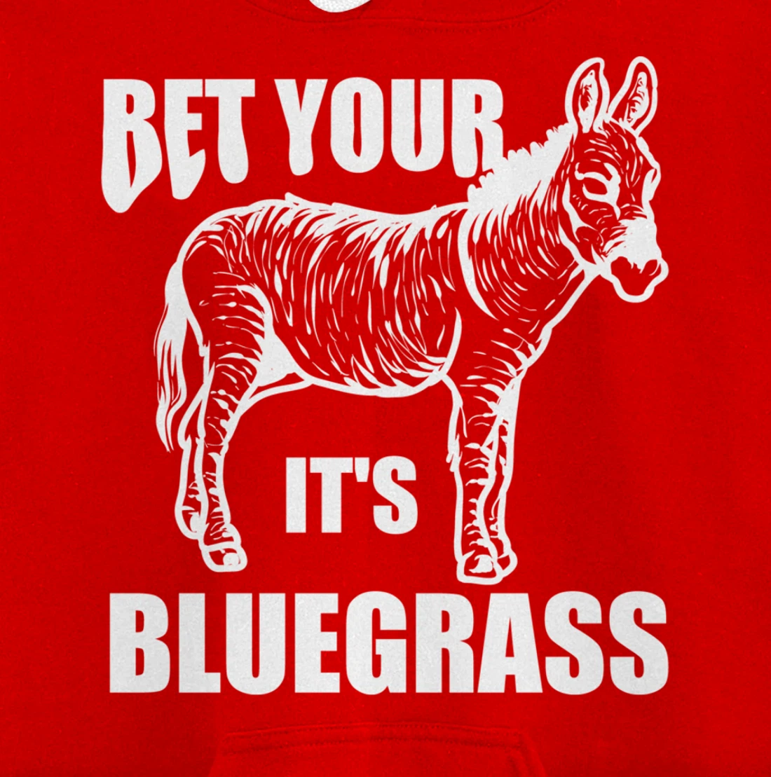 Cool Bet Your Donkey Ass It's Bluegrass Funny Musician Gift Pullover Hoodie