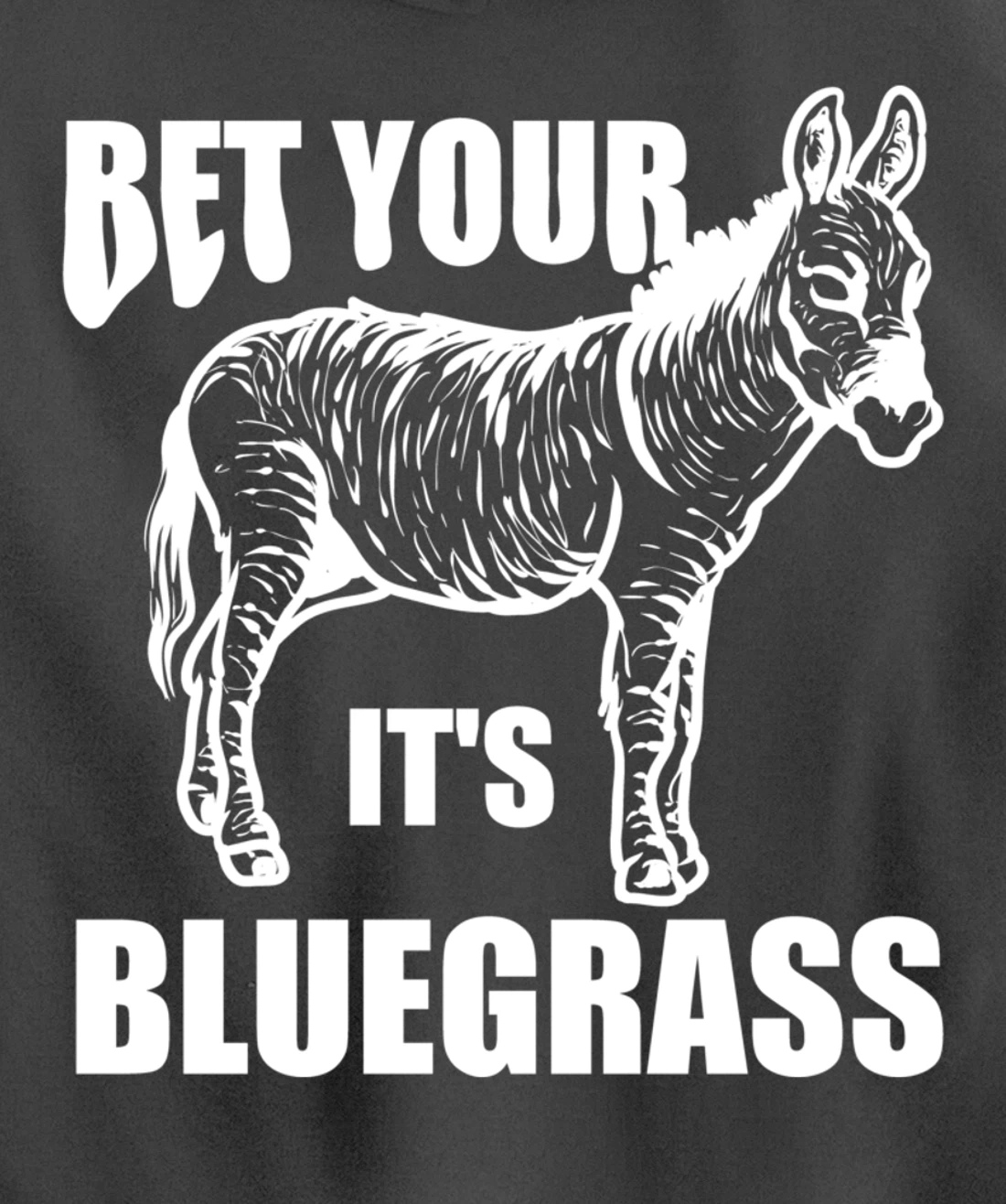 Cool Bet Your Donkey Ass It's Bluegrass Funny Musician Gift Pullover Hoodie