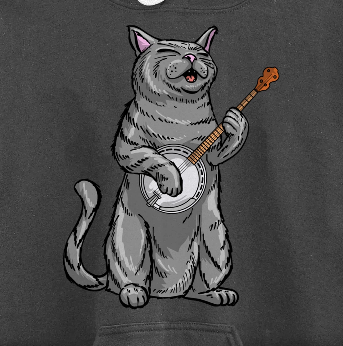 Funny Cat Playing Banjo Bluegrass | Cool Musician Gift Pullover Hoodie