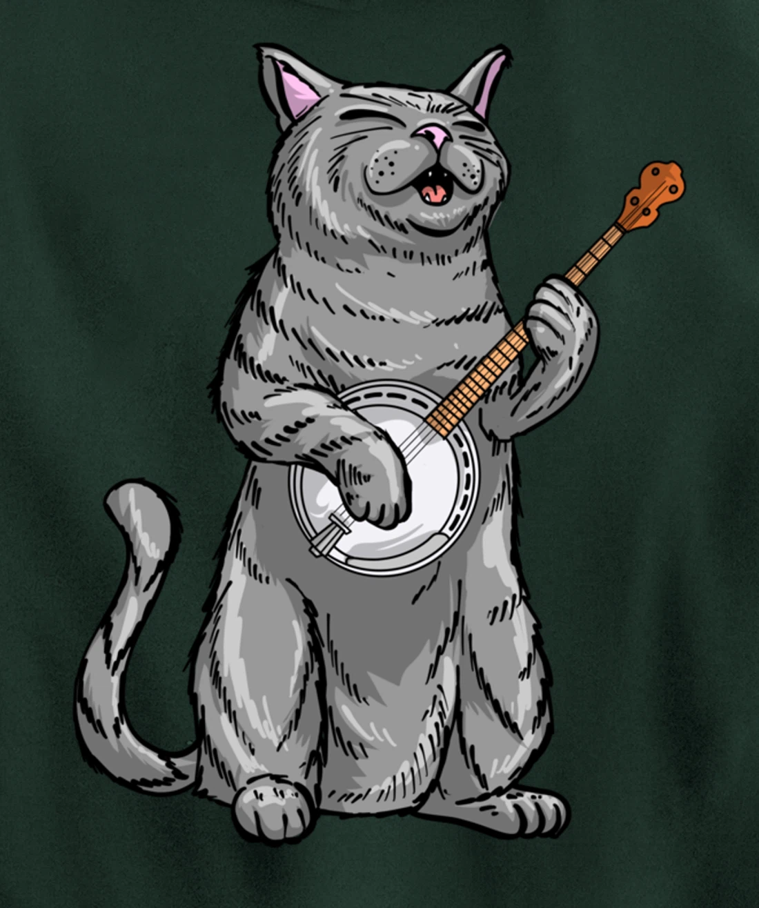Funny Cat Playing Banjo Bluegrass | Cool Musician Gift Pullover Hoodie